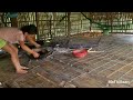 Daily lyfe of two orphan sisters peeling peanuts, cooking and cleaning around the hause