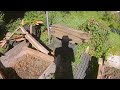 Vegetable Garden Update July 2024