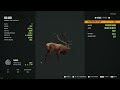 theHunter COTW : Diamond Red Deer @ Emerald Coast