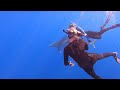 TIGER SHARK, Tuna, and One Ocean Diving // Free Diving Oahu