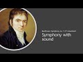 Symphony with sound: Beethoven Symphony no. 7 in A Major 2nd Mvt