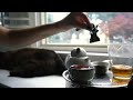Gongfu Tea Brewing + a Sleepy Cat (ASMR)