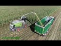 Maishäckseln 2023 LU B.Braunger mit Claas Jaguar 980 und 12 Reiher, Oberland Service mit Fendt [4K]