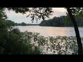Carnegie Lake, Princeton, NJ (20 min) #njzen #njlakes #njparks #princetonnj #njoutdoors