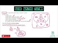 Final Revision for Paper 3 in 19 Minutes | Morning of the GCSE Maths Exam 10th June 2024 | Grade 6-9
