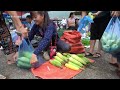 Harvest Sweet Corn Goes To Market Sell - Picking Wild Fruits and Wild Bananas | New Free Bushcraft