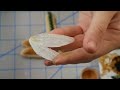 How to: Realistic dragonfly cookies with wafer paper wings!