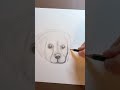 30-Minute Easy Charcoal Pencil Dog Drawing #annieng #charcoaldrawing #dogdrawingeasy #kidstutorial
