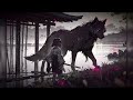 The way of Wolf~04 Zen Lofi Music beats deep Meditation & Recharge your power, more energy & focus