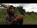 BENAR BENAR NEKAT..!! Mancing Channa Limbata Ditempatnya Pak Prabowo || Spot Mancing Ikan Channa