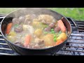 Poulet Jardiniere. Chicken Stew with Garden Vegetables.