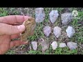 Arrowhead hunting artifacts everywhere New site discovered stone age tools