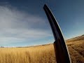 Blitz Pheasant Hunting
