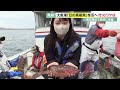 【特集】大阪湾で「高級魚」が復活したワケ　関西空港周辺での調査で見えた変化とは　大阪の「ブランド魚」誕生か【報道ランナー】