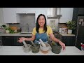 Ultimate Guide to Mortar & Pestle