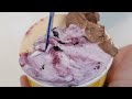 Homemade Gelato Ice cream Making (Blueberry, Vanilla, Plum) / 수제 젤라또 만들기 / Korean Ice cream Shop
