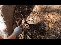 One Year on YouTube • Every Ring I've Found Metal Detecting