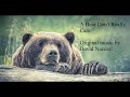 A Bear Don't Really Care by David Naccari