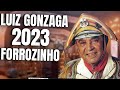 LUIZ GONZAGA FORROZINHO (CAROLINA - REMIX - PISEIRO) VERSÃO LUIZ O PODEROSO CHEFÃO 2023-PRA PAREDÃO