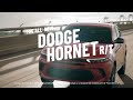 Dodge Hornet: A New Breed