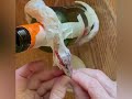 Papier Mâché Dragon Bottle (Full Length Video) Adding Textured Features
