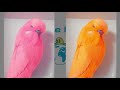 Are these Rare or Fake Budgie Mutations ? -  MythBuster