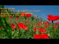 70대 플룻 독학/어디든지 예수 나를 이끌면(찬송가440장)/Anywhere with Jesus I can safely go