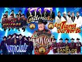 Los Tigres del Norte, Lalo Mora, Cardenales De Nuevo Leon, Los Invasores De Nuevo Leon, Ramon Ayala