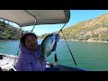 100 Fish Day at Lake Berryessa.