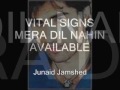 VItal Signs MEra dil nahi available