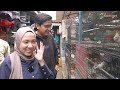 BELI HEWAN APAPUN DIPILIHIN ISTRI AKU DI PASAR HEWAN TERBESAR BANDUNG!