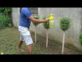 How To Make A Great Vertical Garden For A Small Garden With Plastic Bottles