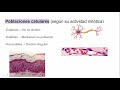 Núcleo Celular (Componentes, funciones...) | Histología Ross