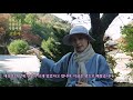 무여스님과 함께 하는 사찰여행 – 고운사(경북 의성), Gounsa Temple[4k]