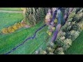 2K Drone Footage of German Black Forest