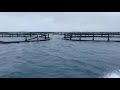 Boat ride in the Marshall Islands