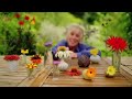 Summer Gardening with Carol Klein Eps 6