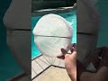 Cheaper Pool Skimmer Sock - remove small debris, sand, pollen, cottonwood, dog hair