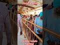 Guru ramdas nagari Amritsar☬☬☬ #goldentempleji#shortfeed#ytshorts #my_youtube_channel_subscribe