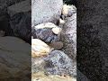 Relaxing natural water flowing sound