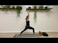 How to do ! 6 Chaturanga Dandasana ! Lets Practice Yoga