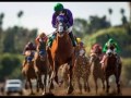 California  Chrome Belmont Racetrack