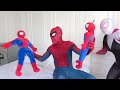 HAPPY HOUSE | Spider-man and Spider-Gwen Best Storys Videos