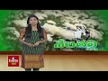 మట్టిలేకుండా మిద్దె సేద్యం | Sravanthi Bollareddy Terrace Garden | Nela Talli | hmtv Agri