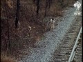 By Railroad To Sparta - Georgia  (1970)