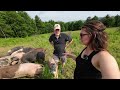 Transforming Their Regenerative Farm into an Artisanal Meat Empire (Red House Ranch)