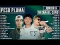 Peso Pluma, Junior H, Natanael Cano Grandes éxitos Mix 2024| LO MÁS POPULAR - LO MAS CHINGON 2024