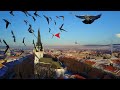 Birds ATTACKED my drone! The best Dji Mavic crash ever!