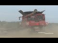 Case IH 9260 Axial-Flow with 50ft. wide MacDon FD250 Header cutting Wheat | Wheat Harvest 2024