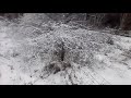 Winter Walk | Crunchy Snow Experimental ASMR | Whispered Narration